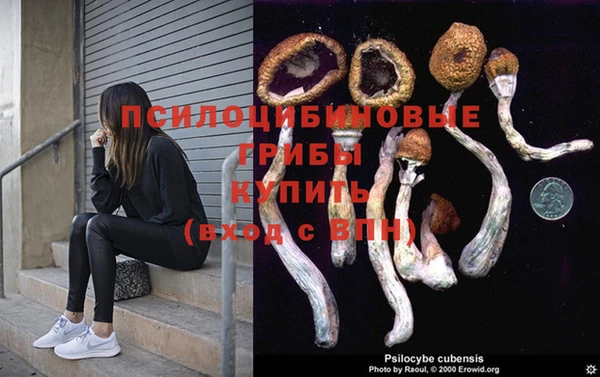 ALPHA-PVP Гусев